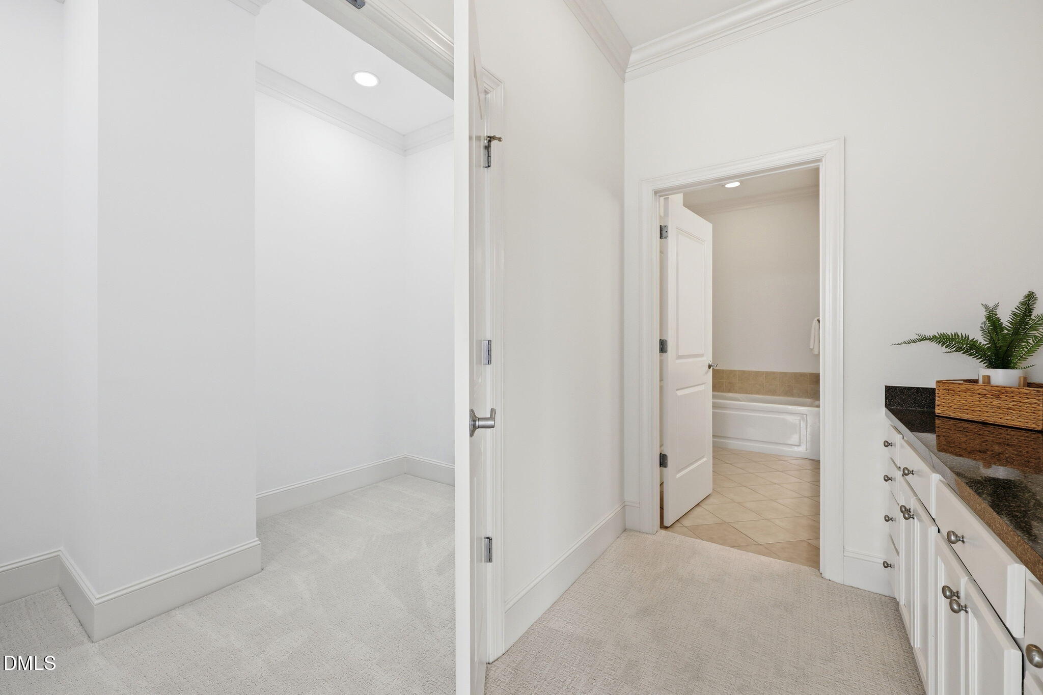 317 West Morgan Street West, Unit 504 Raleigh, NC 27601 - Photo 26 of 44 Master Hall: Closet to Bath