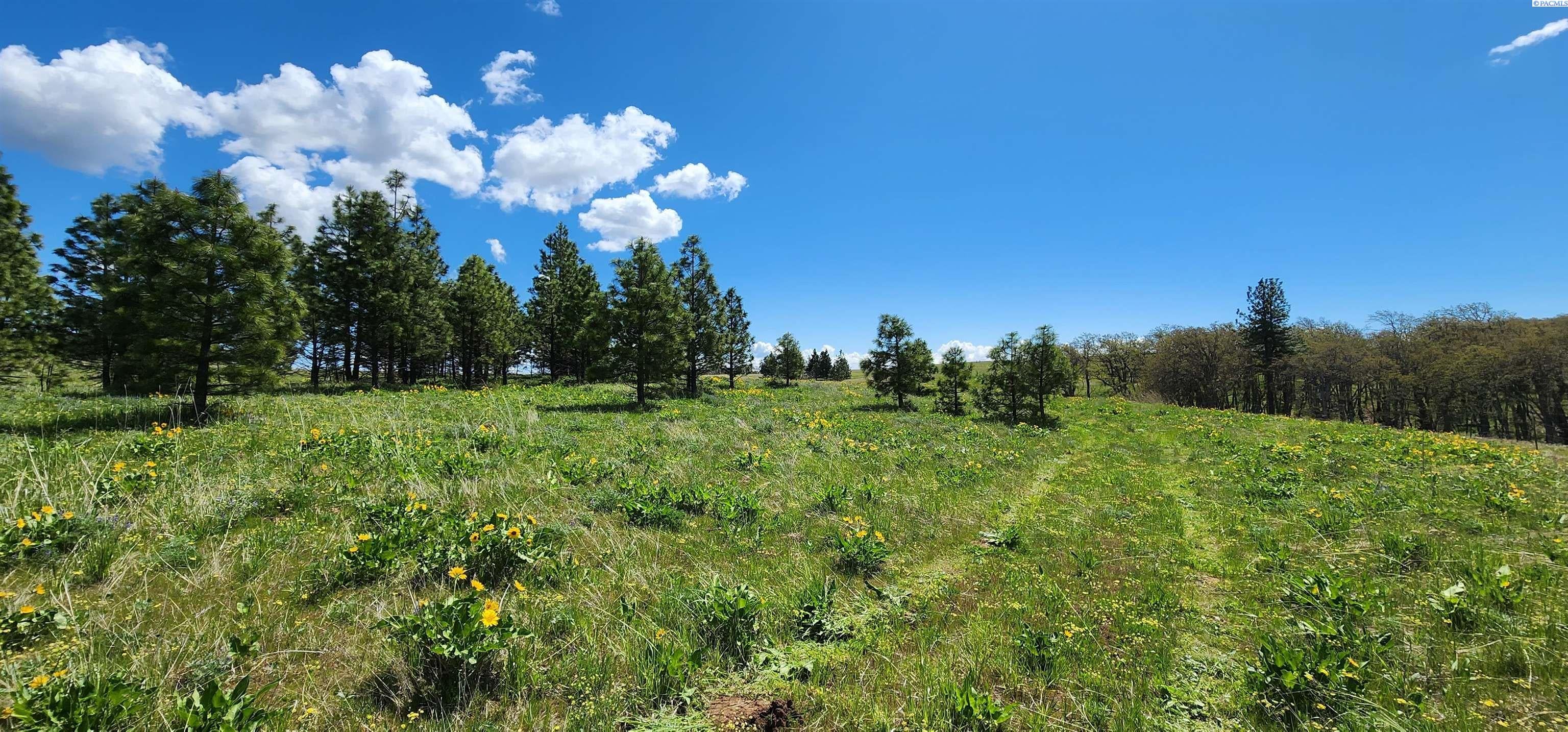 Lot 18 Schilling Road Lyle, WA 98635 - Photo 29 of 39 Gallery Image 29