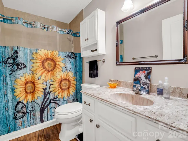 a bathroom with a granite countertop sink mirror vanity and toilet
