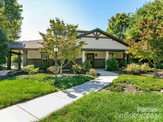 a view of a garden with plants