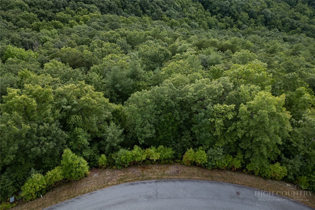 352 Pepperroot Road Boone, NC 28607 - Photo 2 of 5 an aerial view of a house with a yard