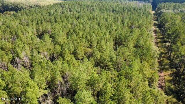 5464 A Pecan Orchard Road Liberty, MS 39645 - Photo 10 of 14 thumbnail_IMG_1544