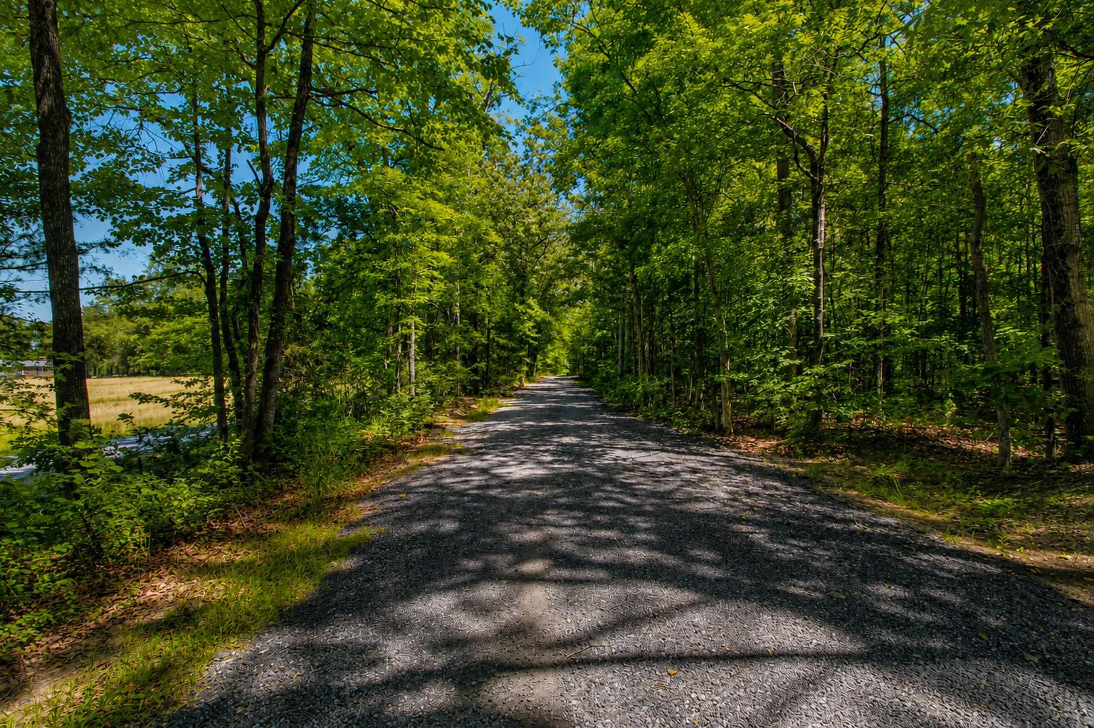 4313 Hadamar Road Spotsylvania, VA 22551 - Photo 4 of 27 Welcome. Serene path through lush greenery.