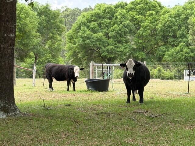4371 Kls Ranch Road Crestview, FL 32539 - Photo 112 of 116 7