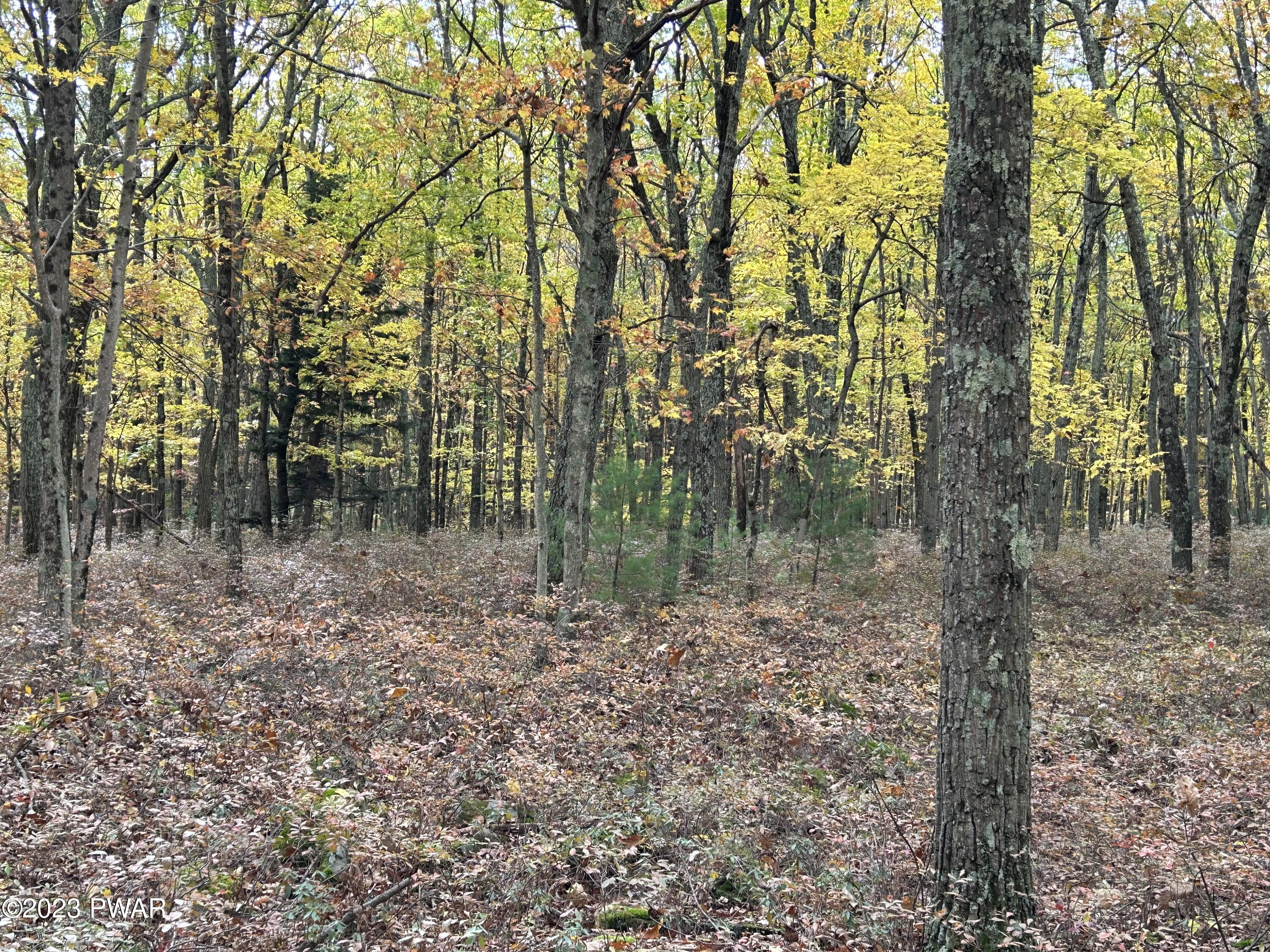 Lot 26 Timber Ridge Drive Hawley, PA 18428 - Photo 13 of 18