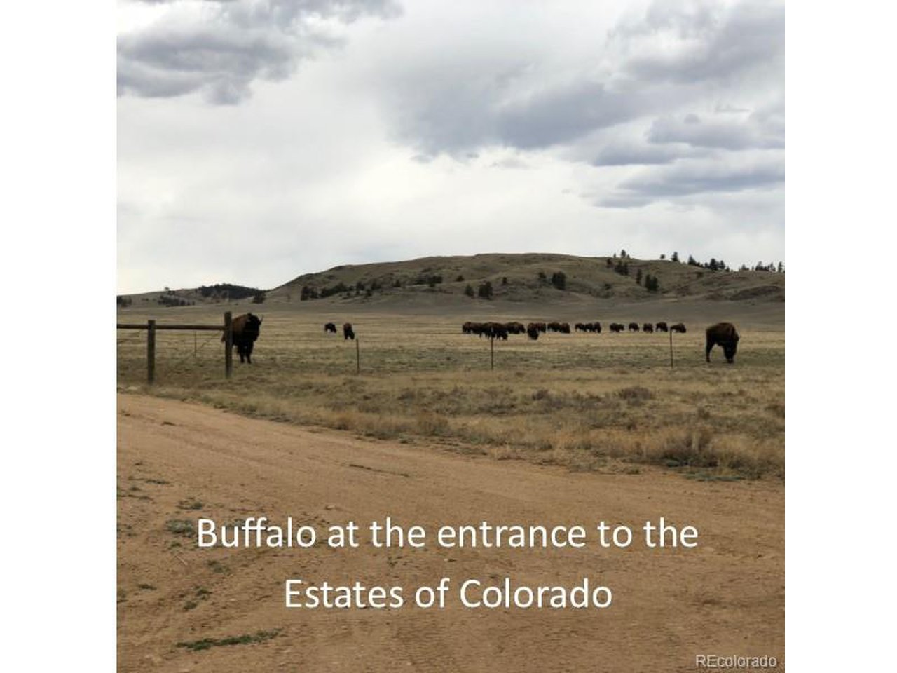 4253 Cahokia Road Hartsel, CO 80449 - Photo 12 of 22 Gallery Image 12