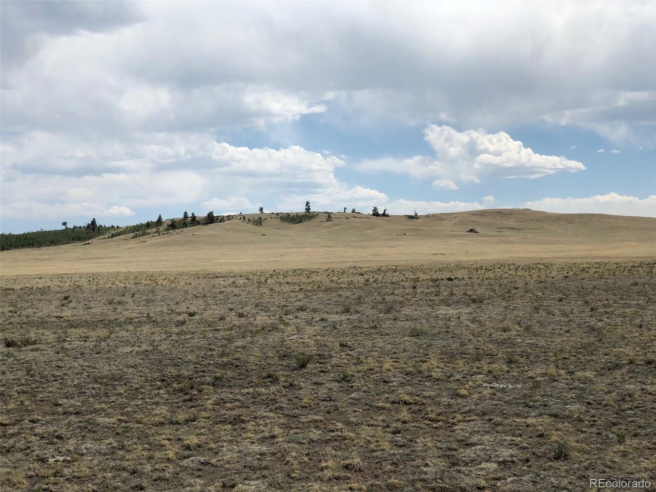 4253 Cahokia Road Hartsel, CO 80449 - Photo 19 of 22 Gallery Image 19