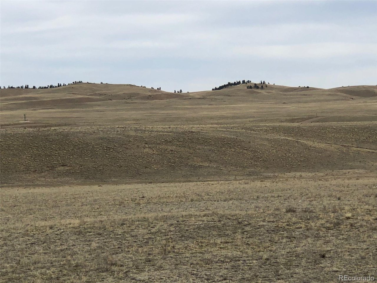 4253 Cahokia Road Hartsel, CO 80449 - Photo 3 of 22 Gallery Image 3