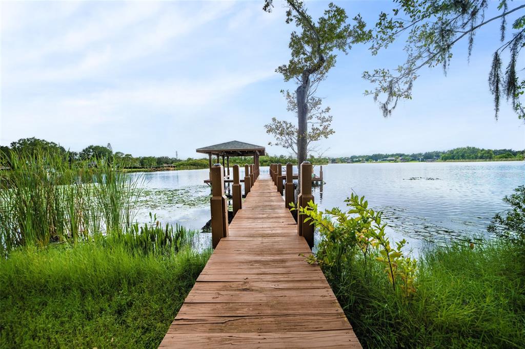 13048 Lake Roper Court Windermere, FL 34786 - Photo 12 of 80