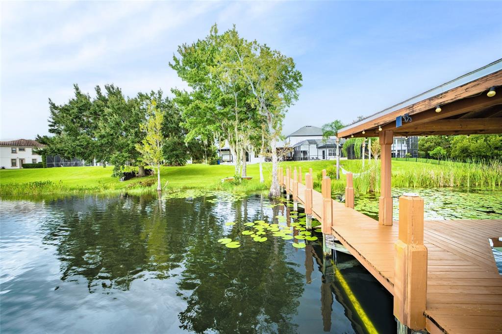 13048 Lake Roper Court Windermere, FL 34786 - Photo 10 of 80