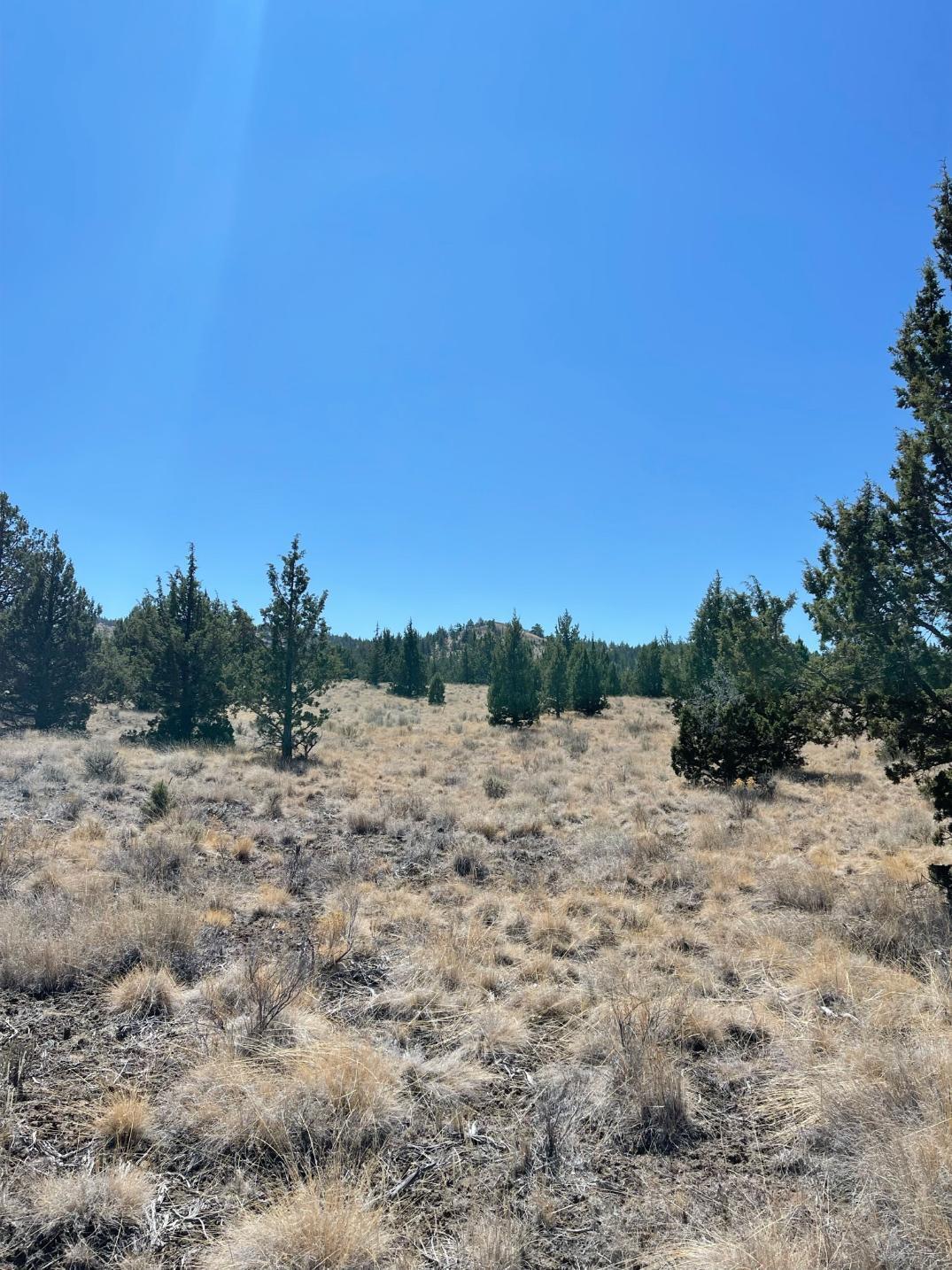 19208 Southeast Upper Ridge Road Prineville, OR 97754 - Photo 7 of 22 7