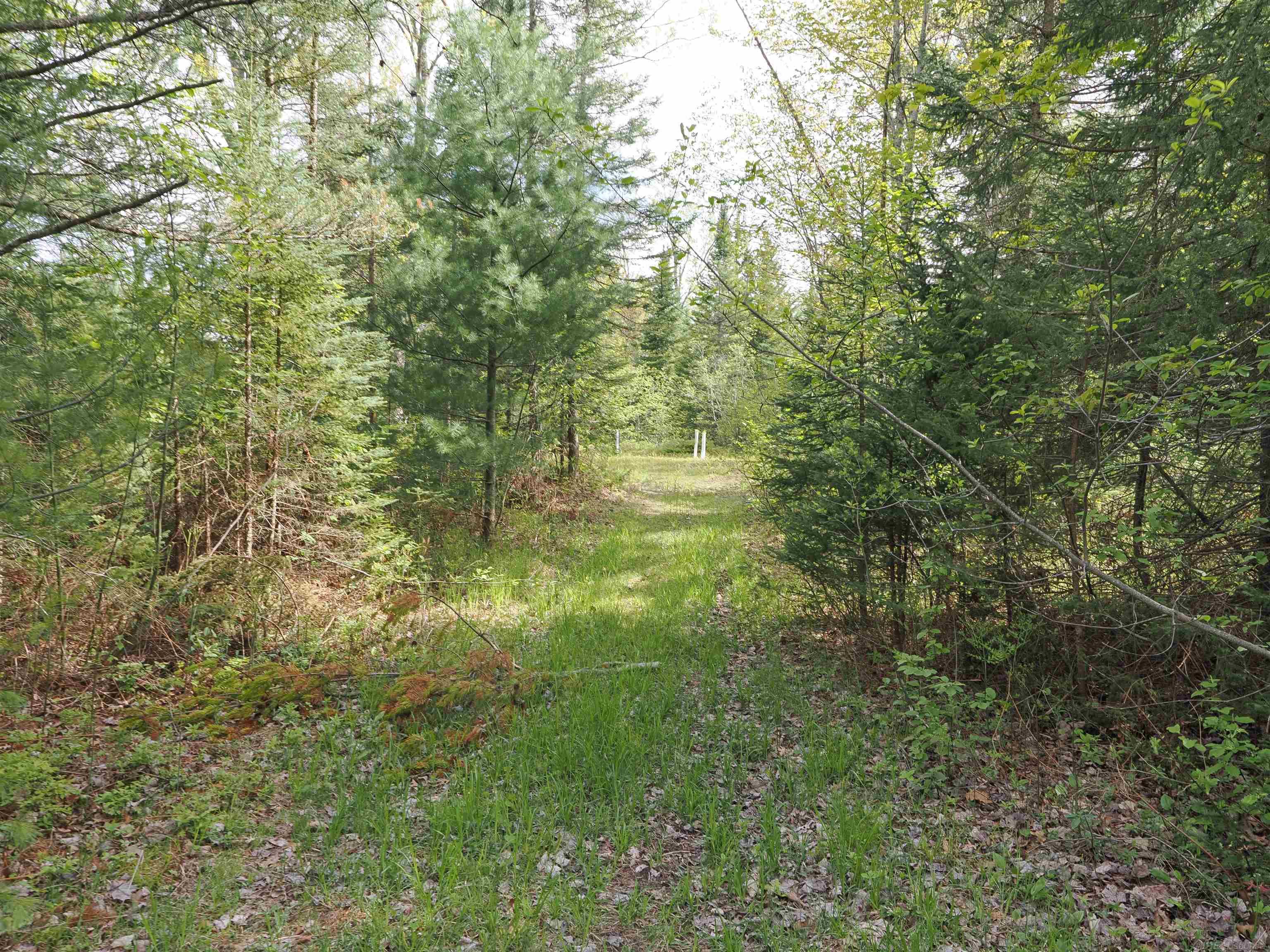 4011 Sandall Road Alpena, MI 49707 - Photo 38 of 73