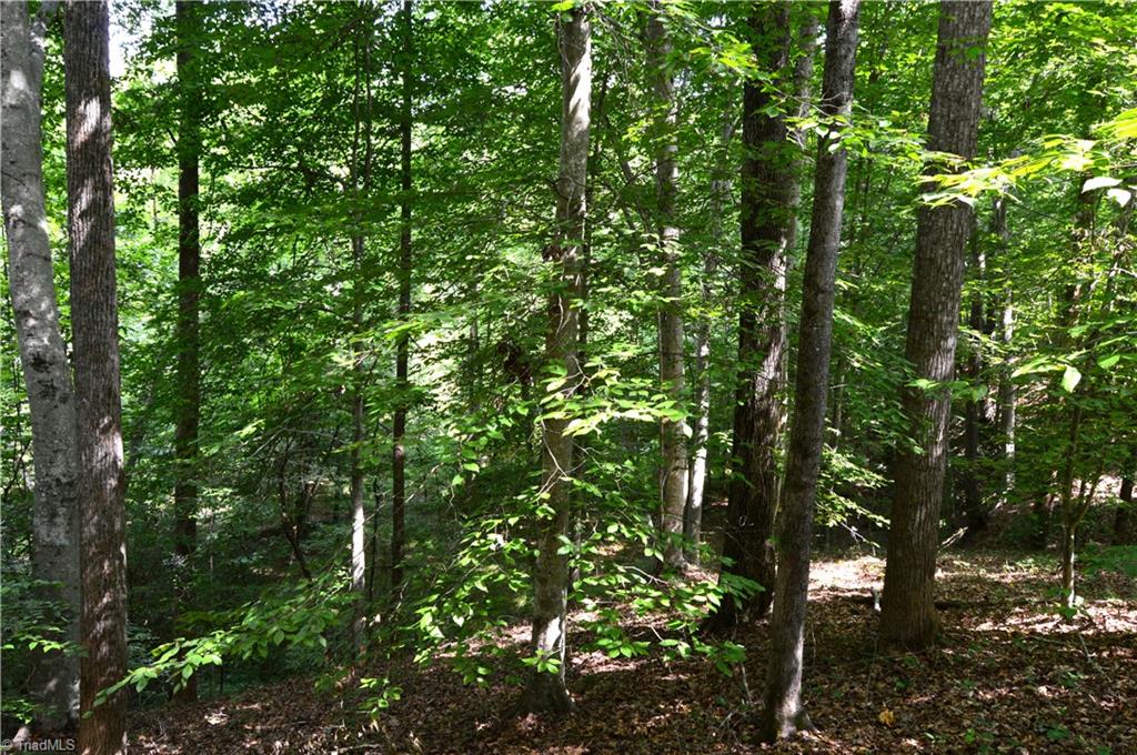 0 Matrimony Road Eden, NC 27288 - Photo 13 of 32 Gallery Image 13