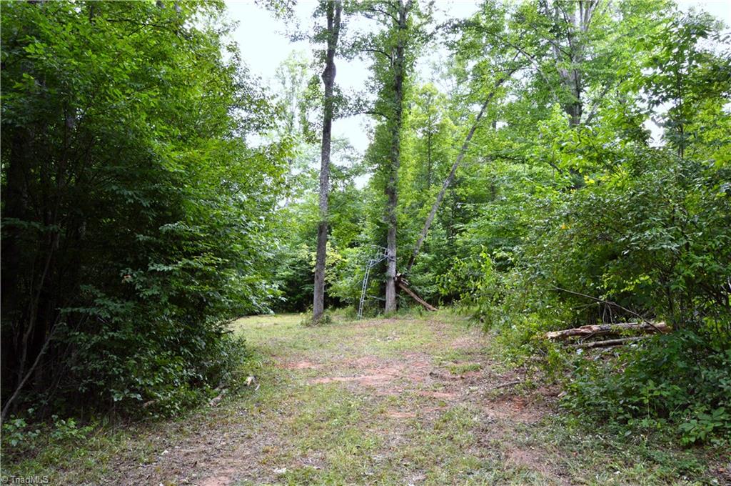 0 Matrimony Road Eden, NC 27288 - Photo 3 of 32 Gallery Image 3