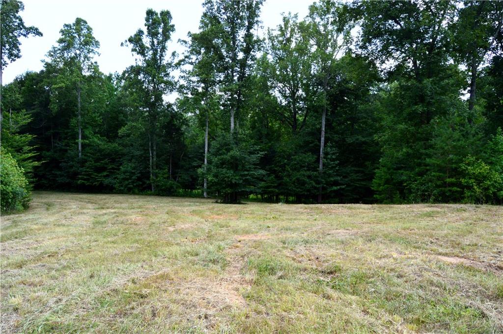 0 Matrimony Road Eden, NC 27288 - Photo 4 of 32 Gallery Image 4
