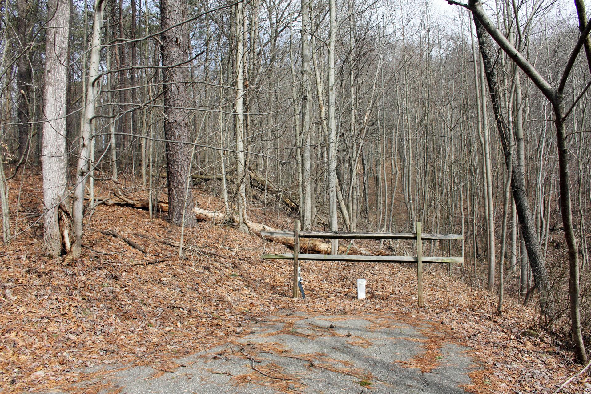Gallery Image 6