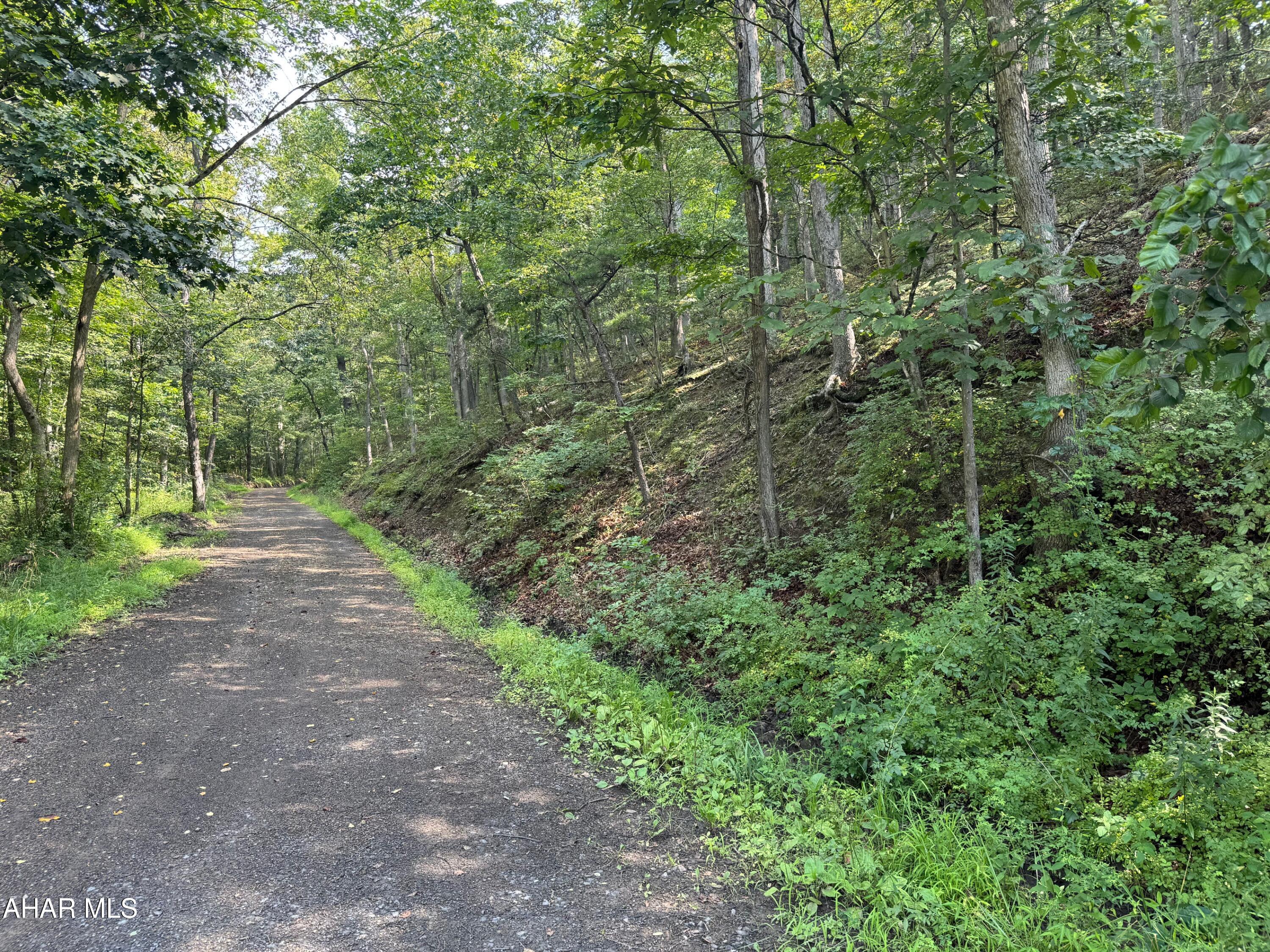 Off Tulls Hill Road Manns Choice, PA 15550 - Photo 38 of 38 Gallery Image 38
