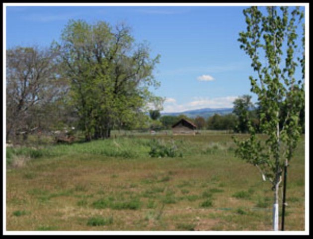 137 Looking Glass Road Walla Walla, WA 99362 - Photo 1 of 1 Gallery Image 1