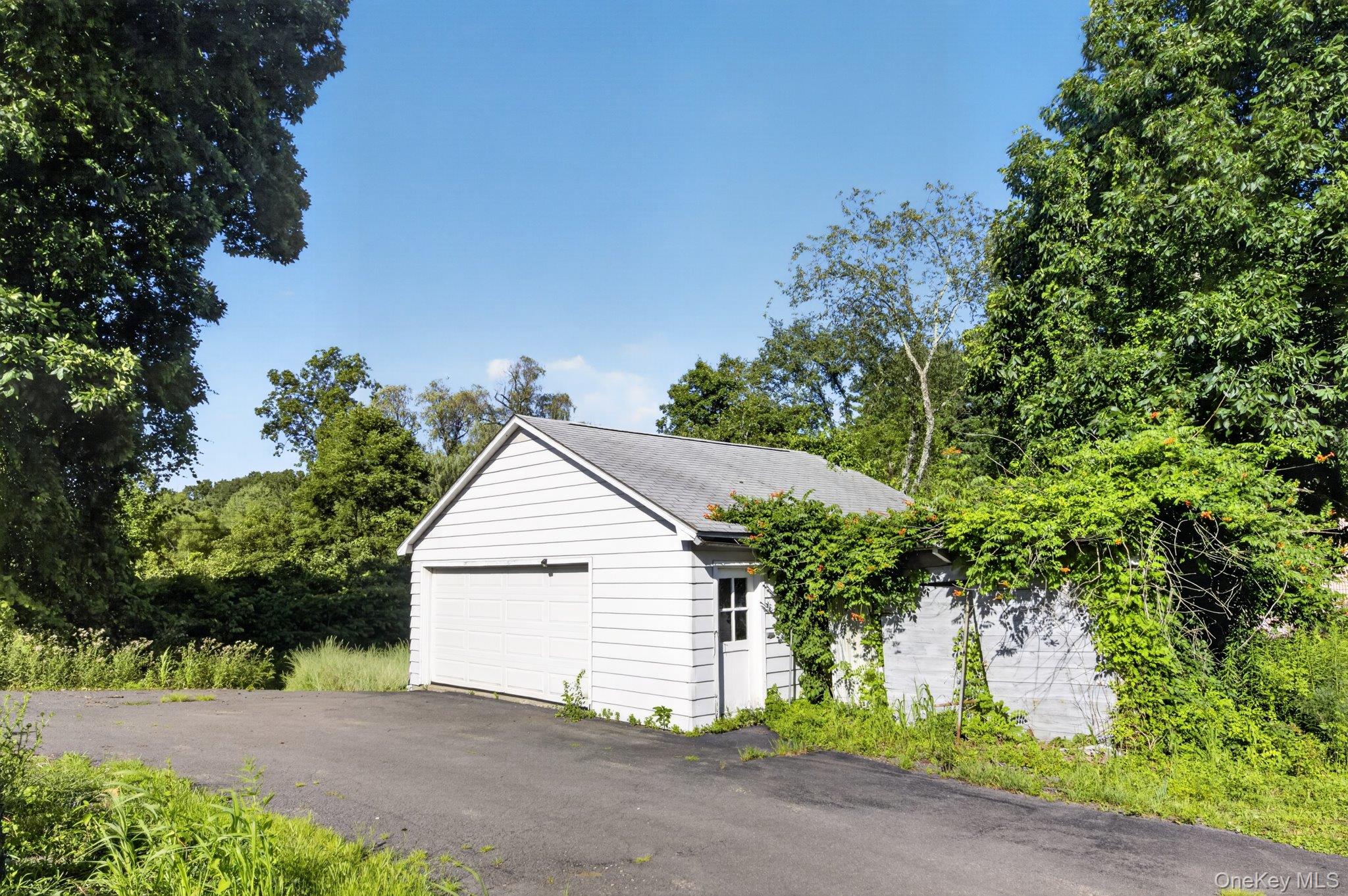 315 Pine Bush Road Stone Ridge, NY 12484 - Photo 7 of 32 a view of backyard of house and tree