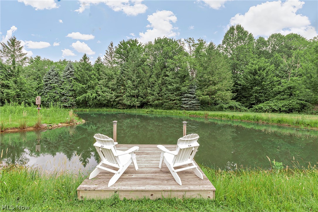 11292 Butternut Road Chardon, OH 44024 - Photo 40 of 49 Private pond with a wooden dock and lush surrounding greenery
