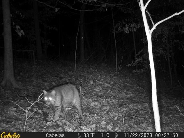 0 East Fork Road Laurelville, OH 43135 - Photo 6 of 16 11220864