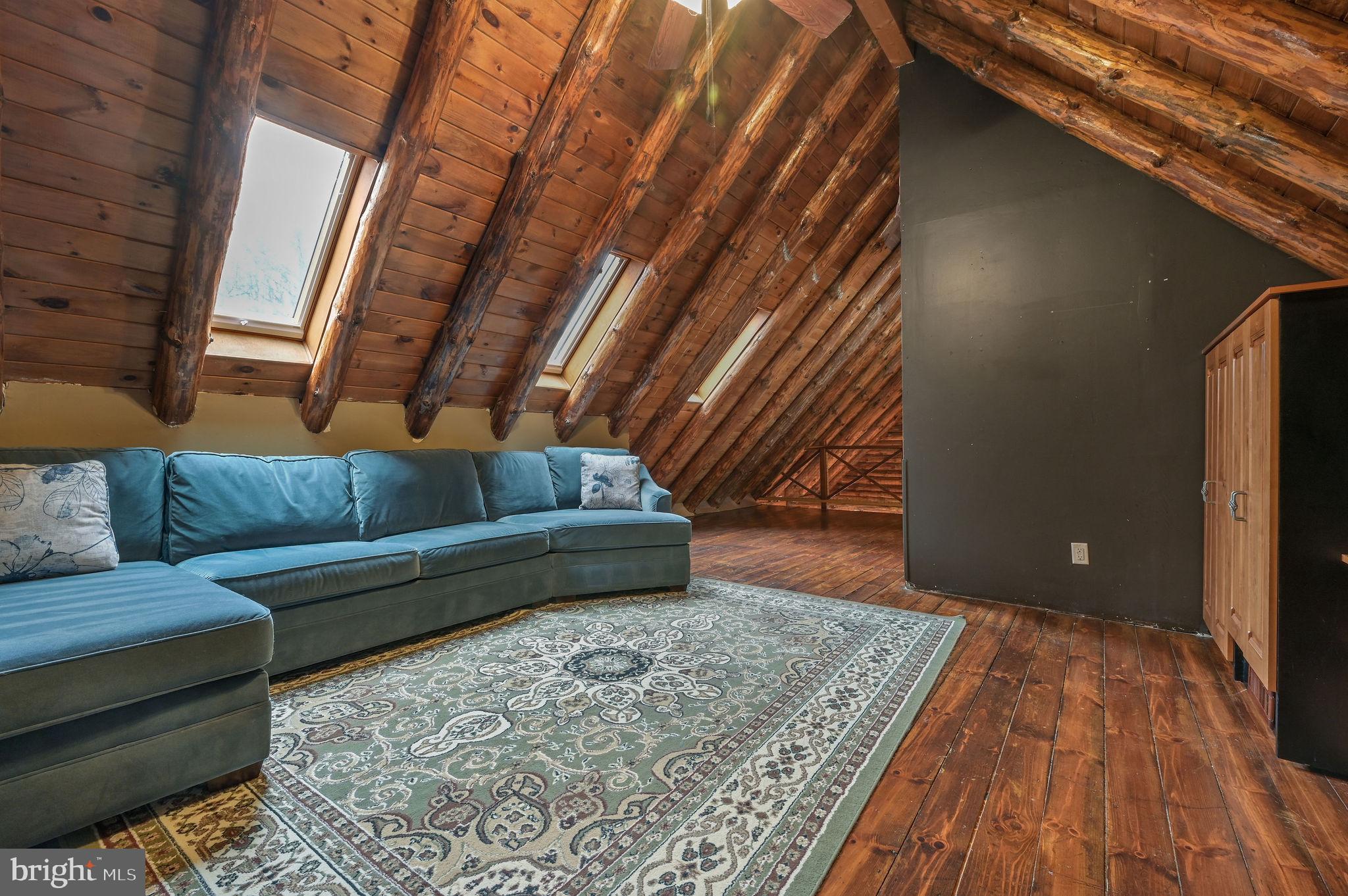 334 Sophers Row Magnolia, DE 19962 - Photo 40 of 47 a living room with a couch and a rug