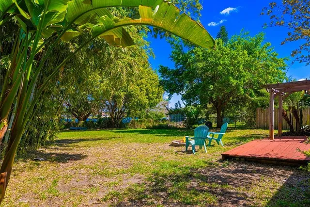 a view of a park with large trees