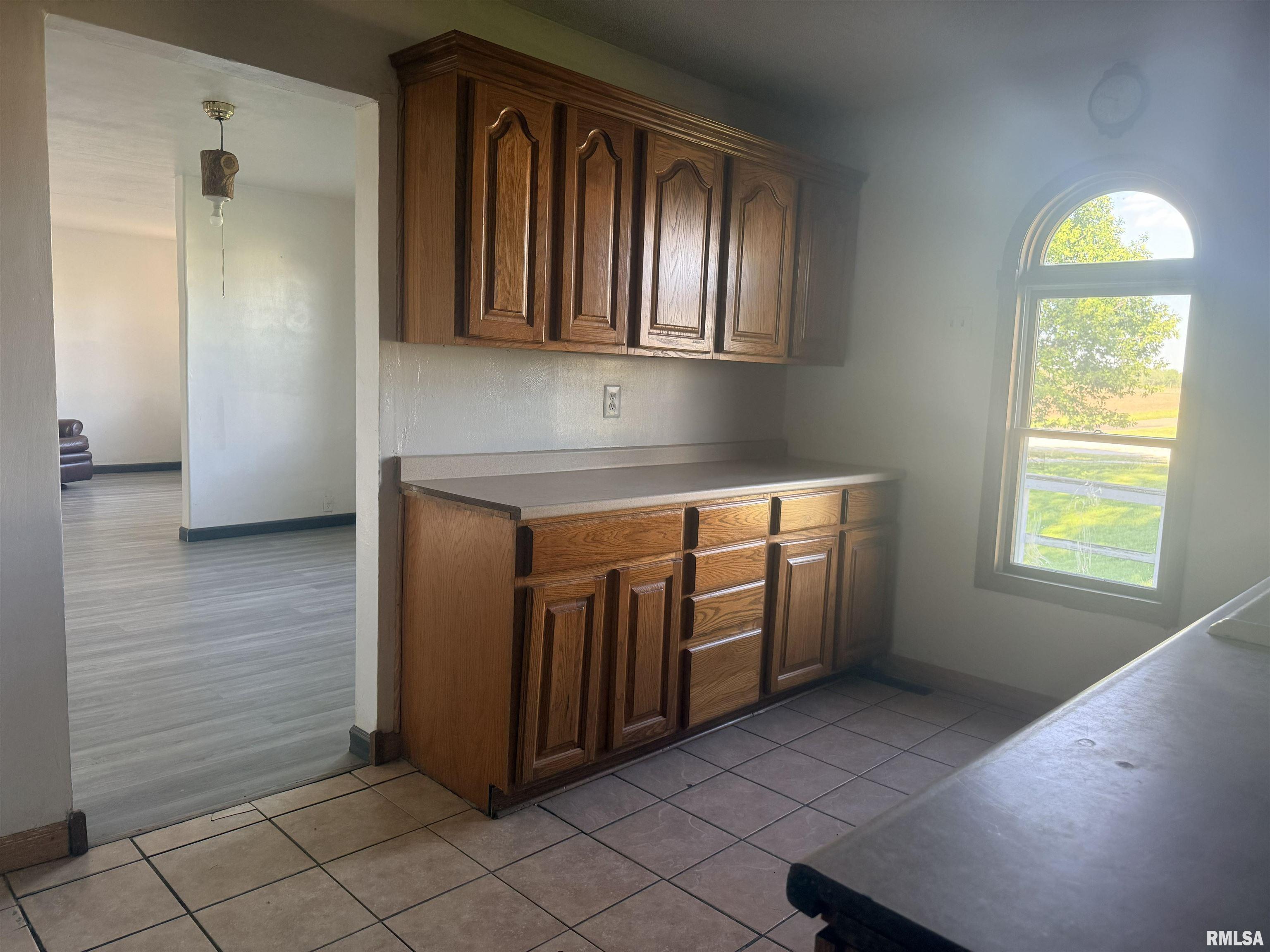9721 East Lasswell Road Cuba, IL 61427 - Photo 8 of 28