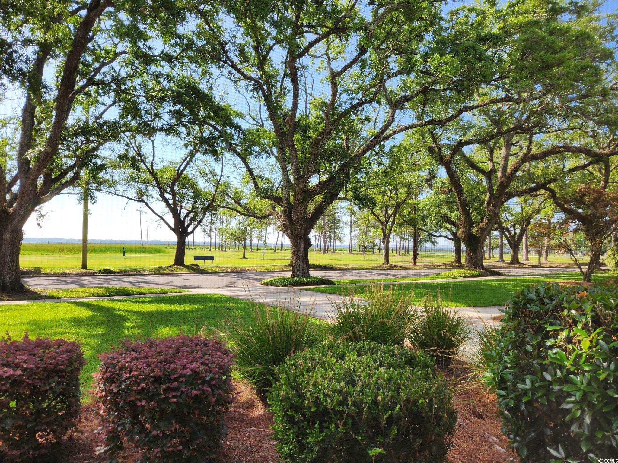 104 East Bay Street Georgetown, SC 29440 - Photo 40 of 40