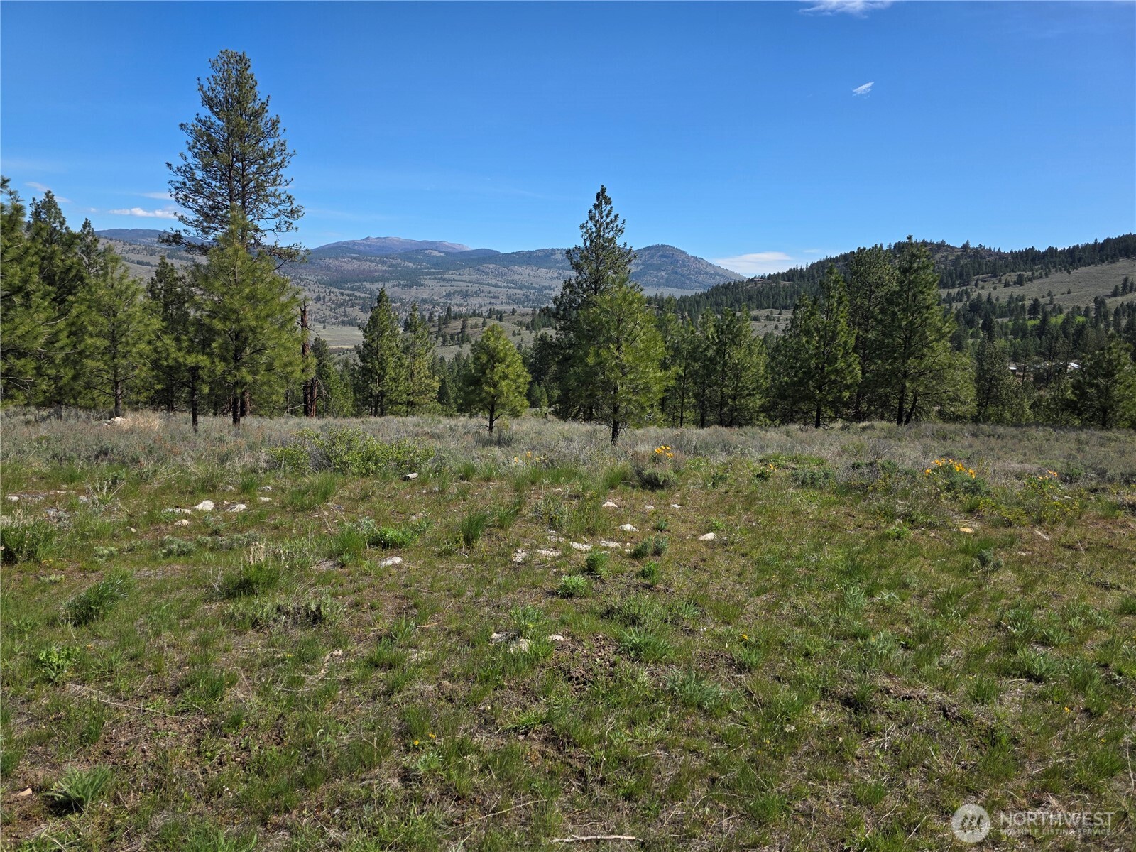 144 Reevas Basin Road Tonasket, WA 98855 - Photo 1 of 21