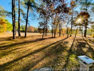 90 Cypress Road Cameron, NC 28326 - Photo 4 of 22 a view of open space with trees