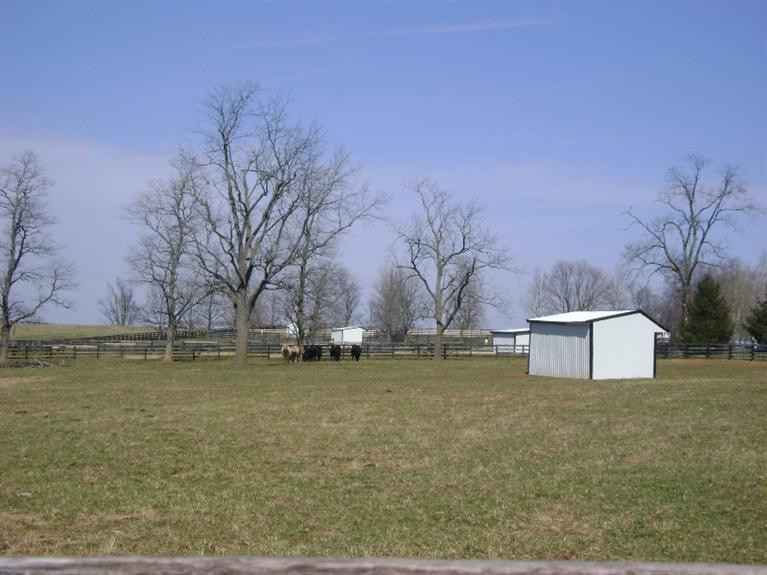 555 Tarr Road Paris, KY 40361 - Photo 34 of 36 Photo 34