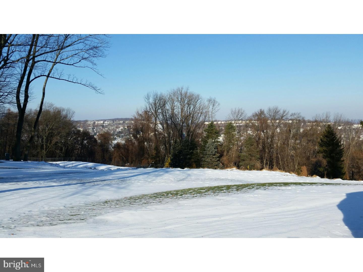 1653 Mt Pleasant Road Villanova, PA 19085 - Photo 3 of 16 a outdoor view having yard