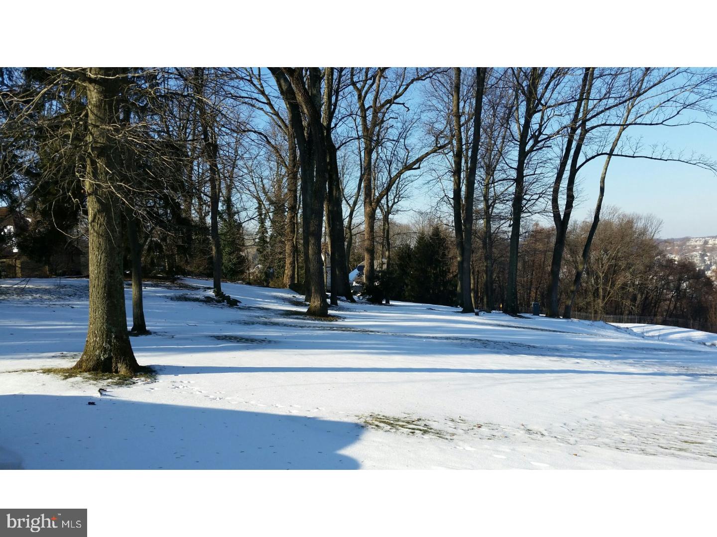 1653 Mt Pleasant Road Villanova, PA 19085 - Photo 4 of 16 a black and white photo of a park