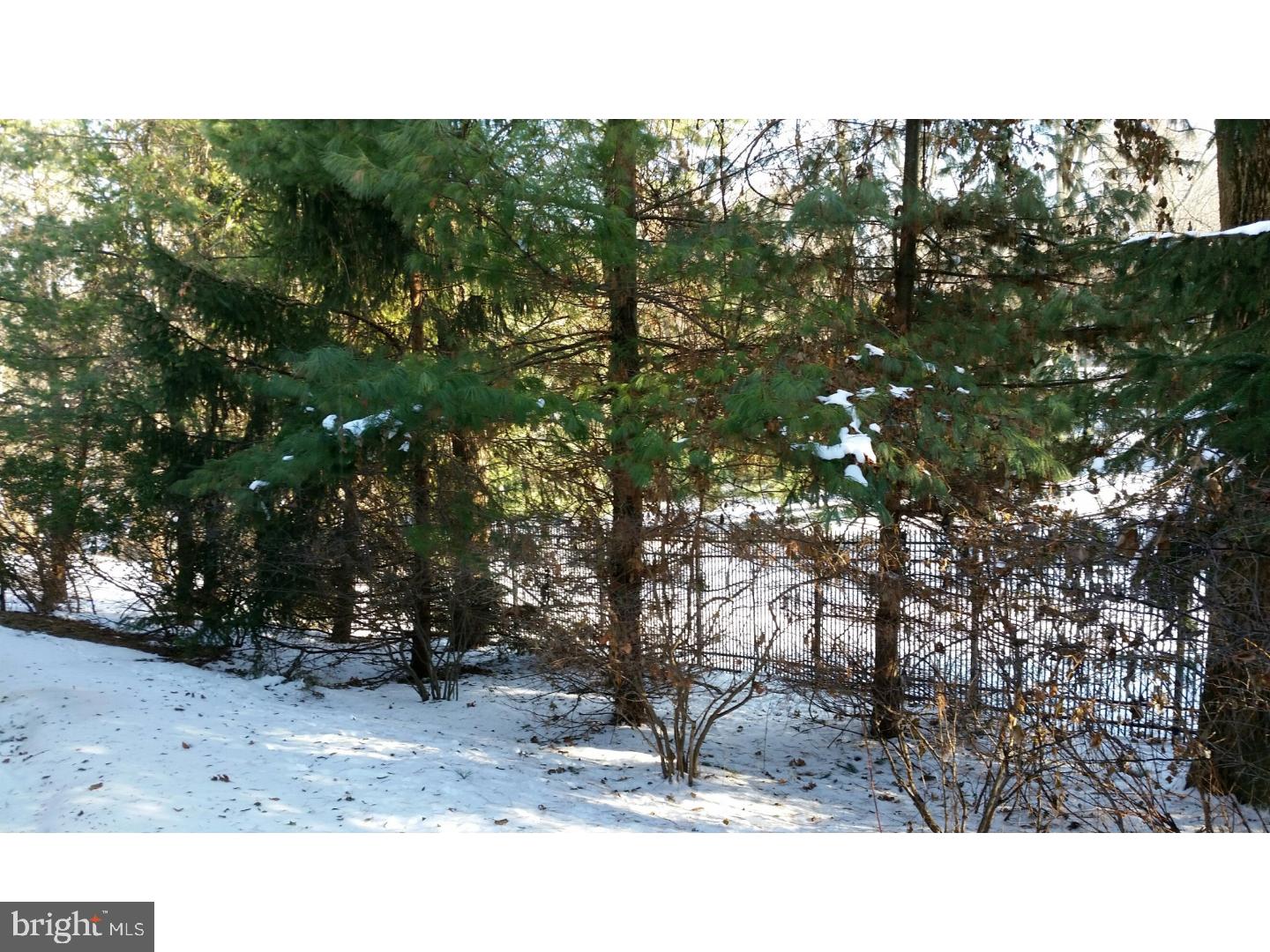 1653 Mt Pleasant Road Villanova, PA 19085 - Photo 5 of 16 a view of a backyard