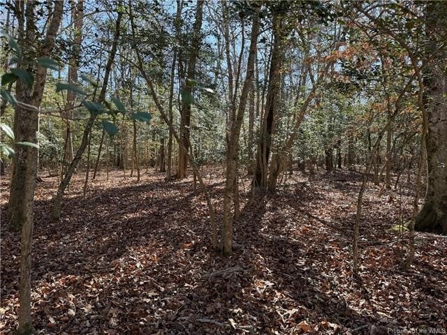 8365 Croaker Road Williamsburg, VA 23188 - Photo 1 of 1 Gallery Image 1