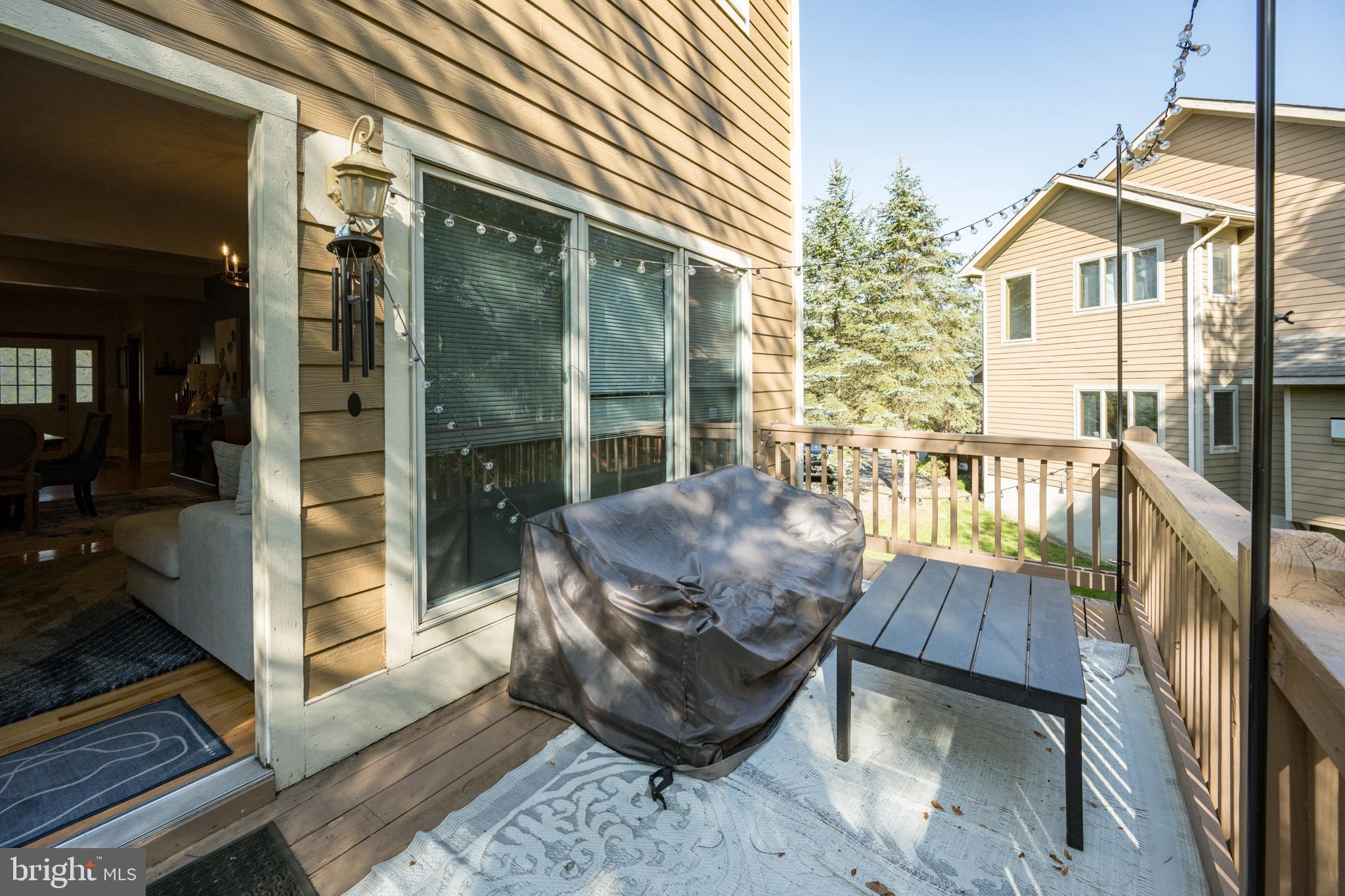 107 Marsh Hill Road, Unit 107 McHenry, MD 21541 - Photo 35 of 82