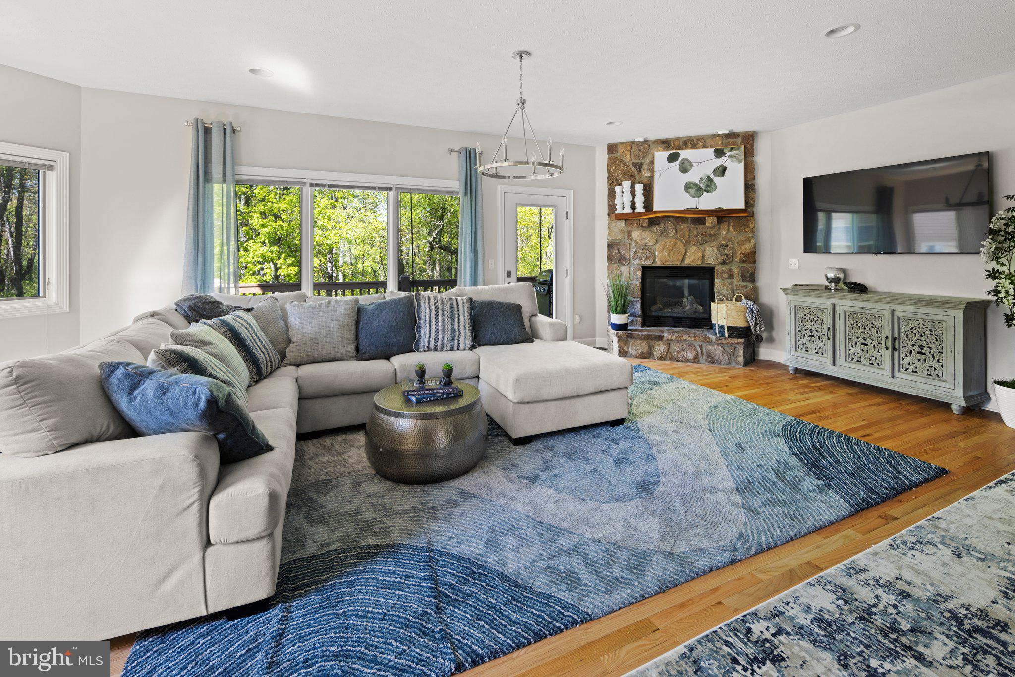 107 Marsh Hill Road, Unit 107 McHenry, MD 21541 - Photo 4 of 82