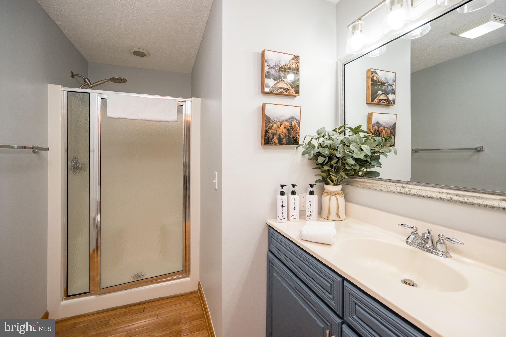 107 Marsh Hill Road, Unit 107 McHenry, MD 21541 - Photo 47 of 82