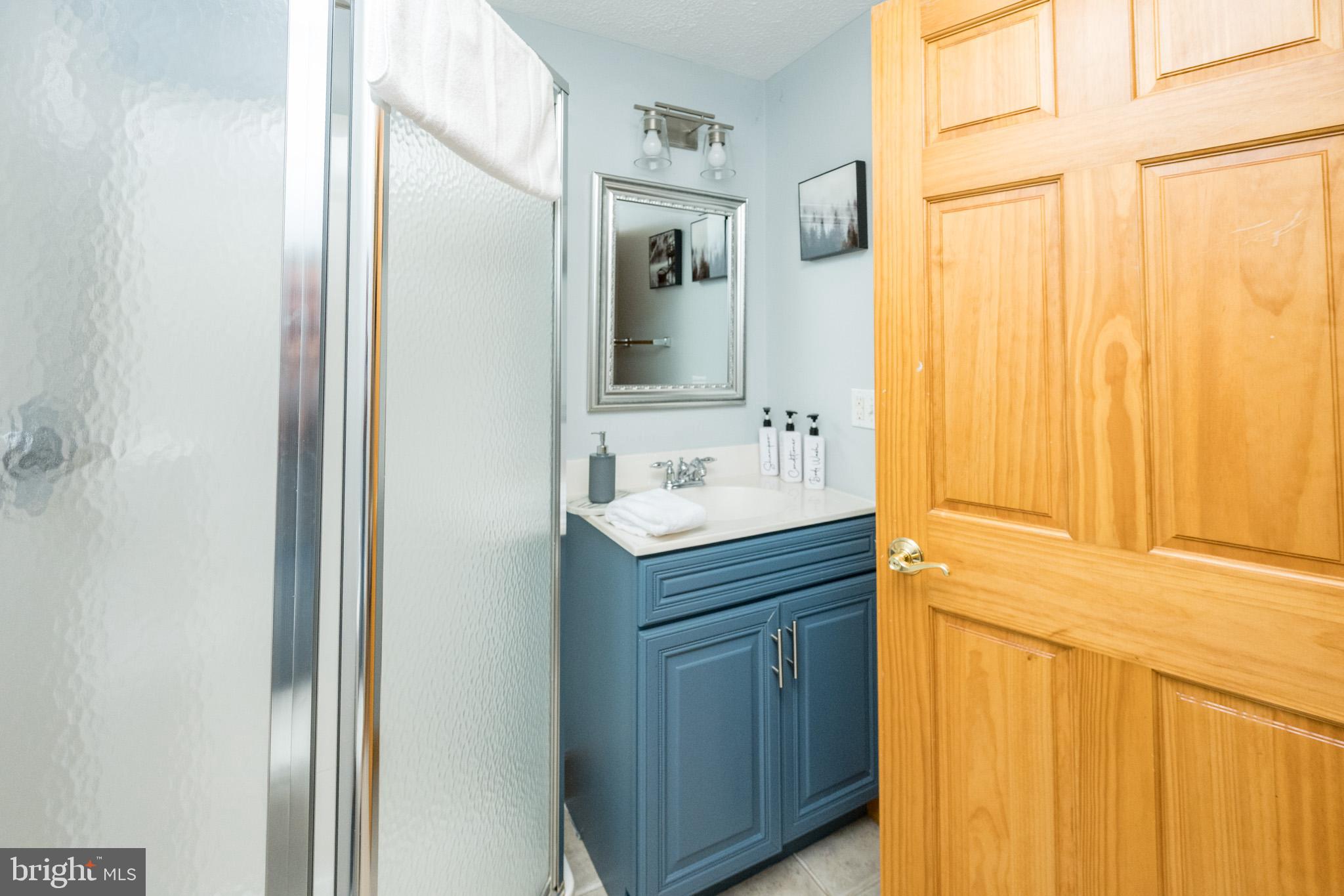 107 Marsh Hill Road, Unit 107 McHenry, MD 21541 - Photo 71 of 82