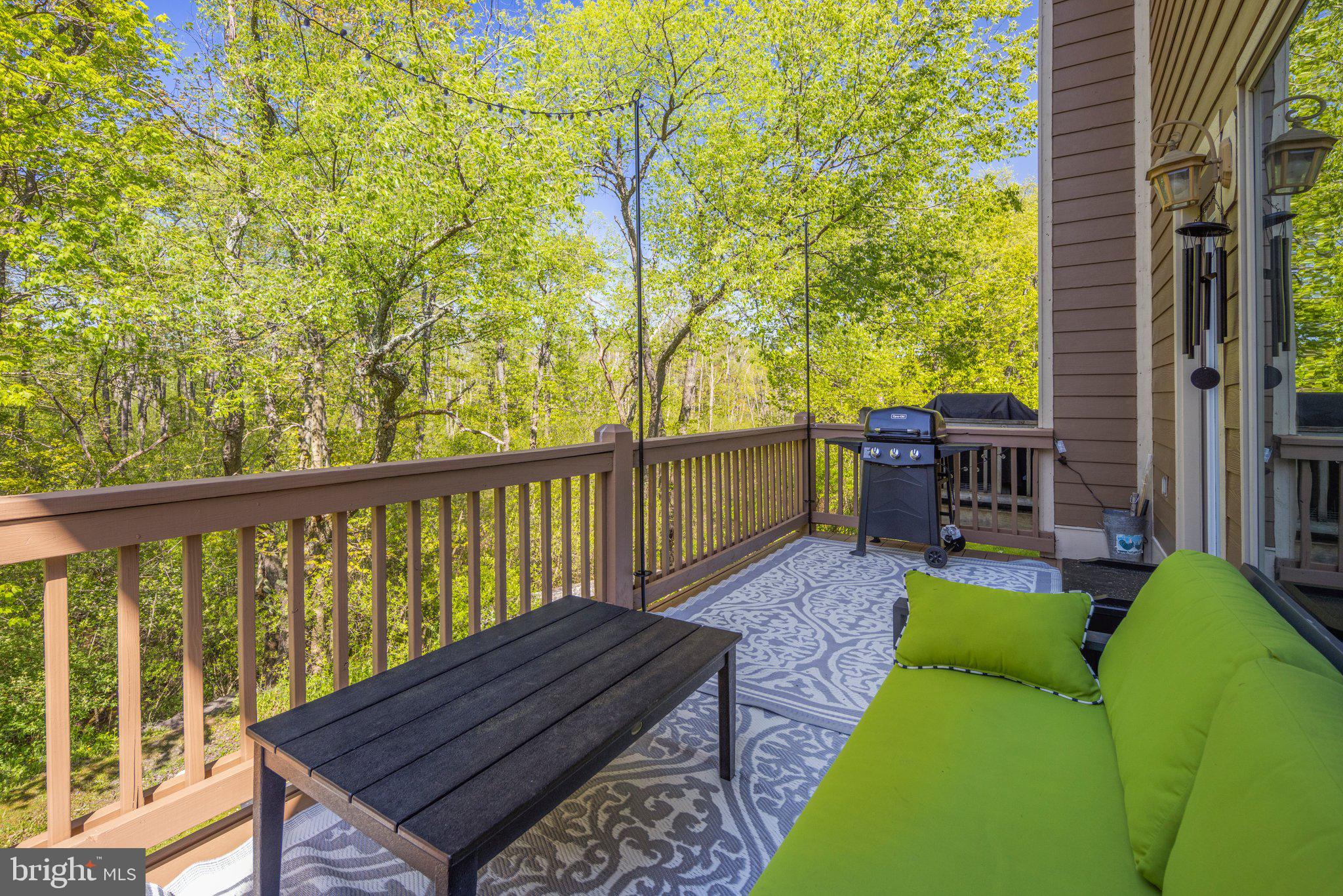 107 Marsh Hill Road, Unit 107 McHenry, MD 21541 - Photo 8 of 82