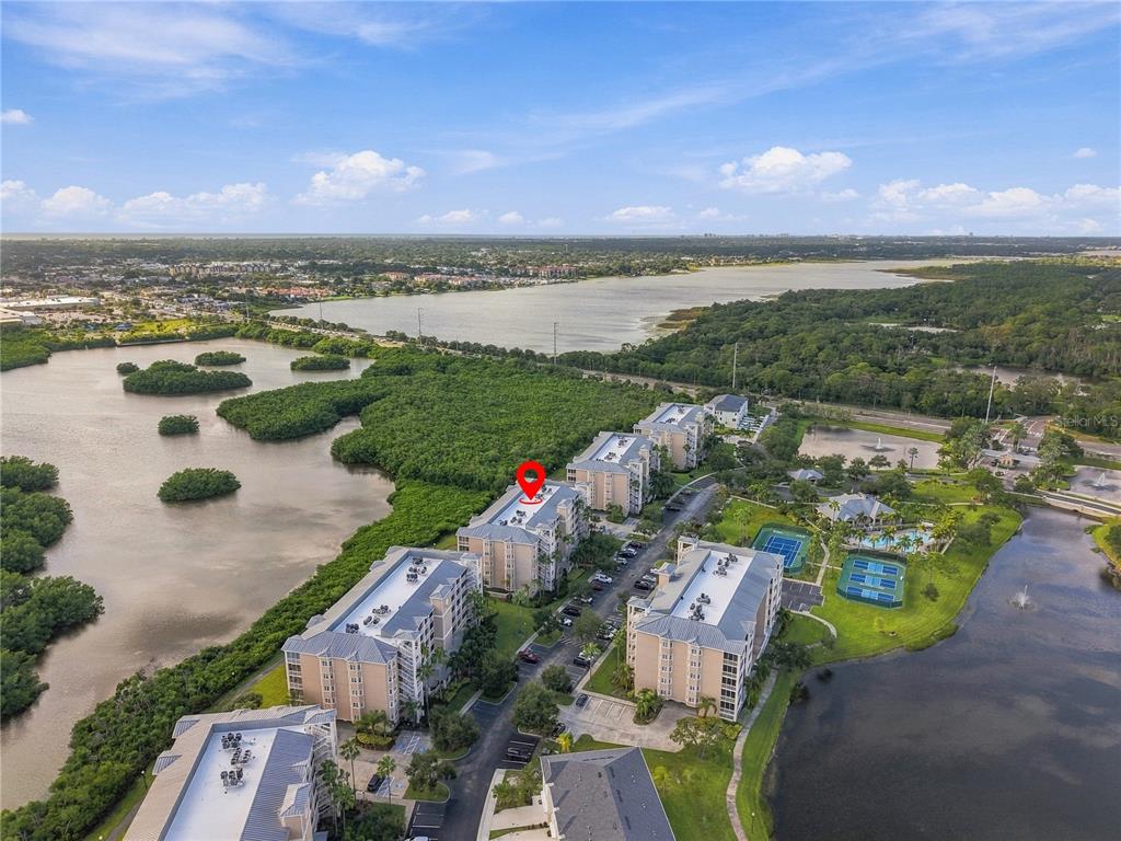 7070 Key Haven Road, Unit 402 Seminole, FL 33777 - Photo 53 of 53 Gallery Image 53