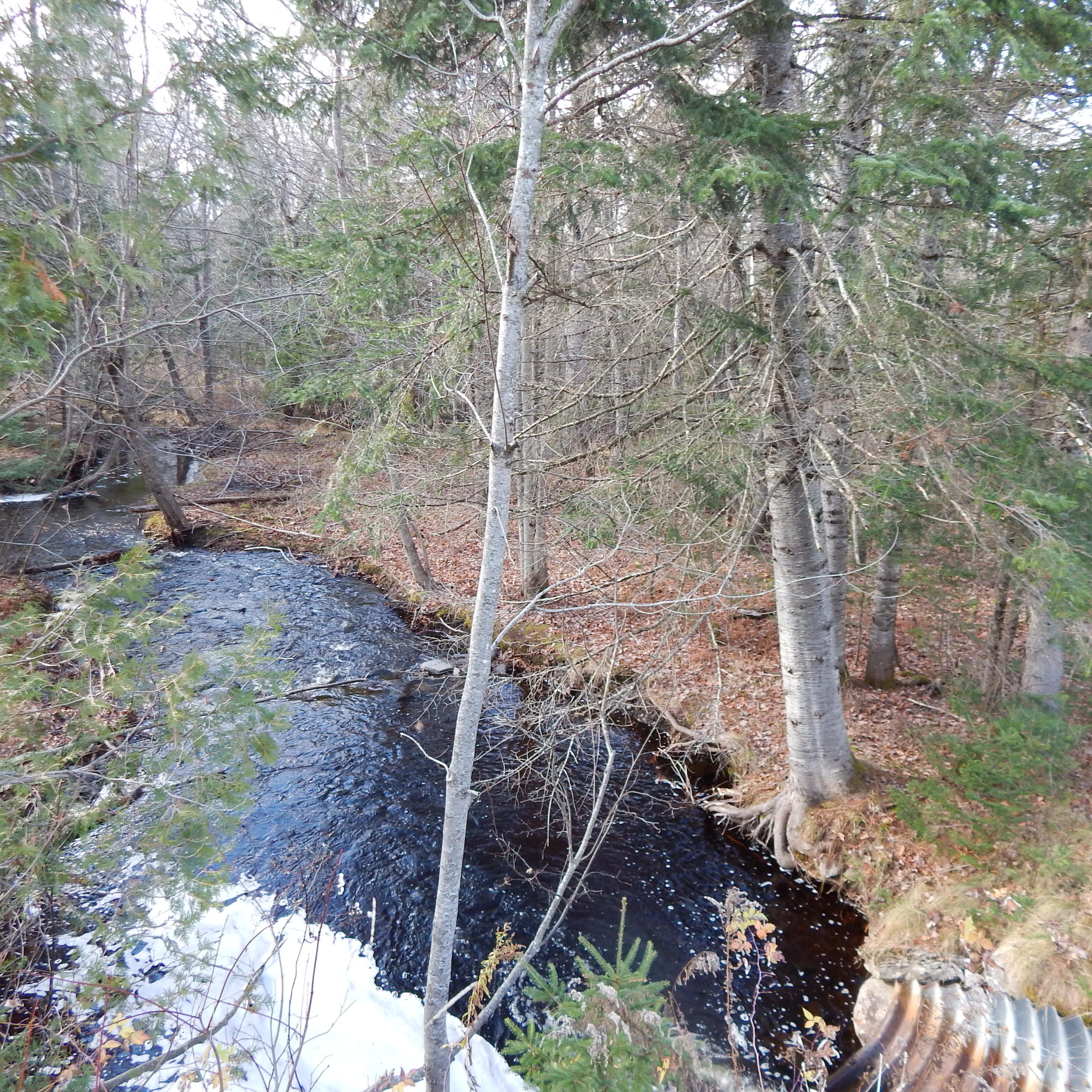69 Herring Tract Road Willimantic, ME 04443 - Photo 3 of 60 DSCN0039