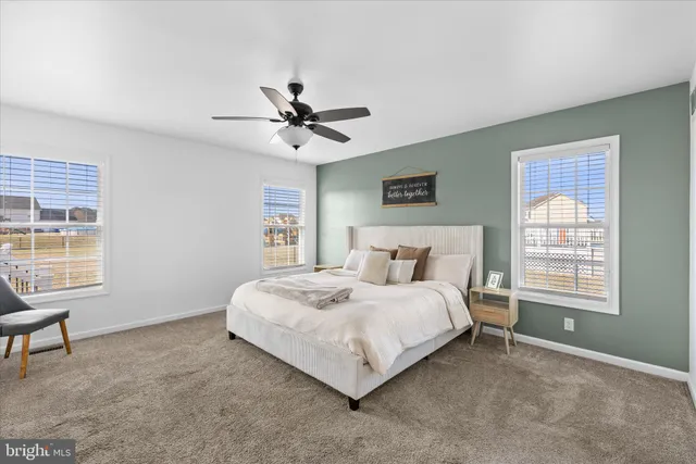 a bedroom with a bed and a ceiling fan