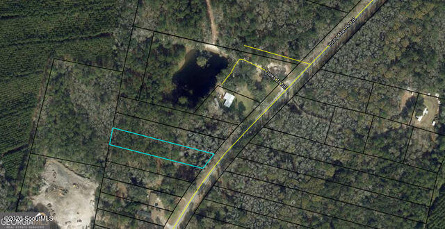 0 Young Man Road Northeast Townsend, GA 31331 - Photo 8 of 9 photo1 (25)