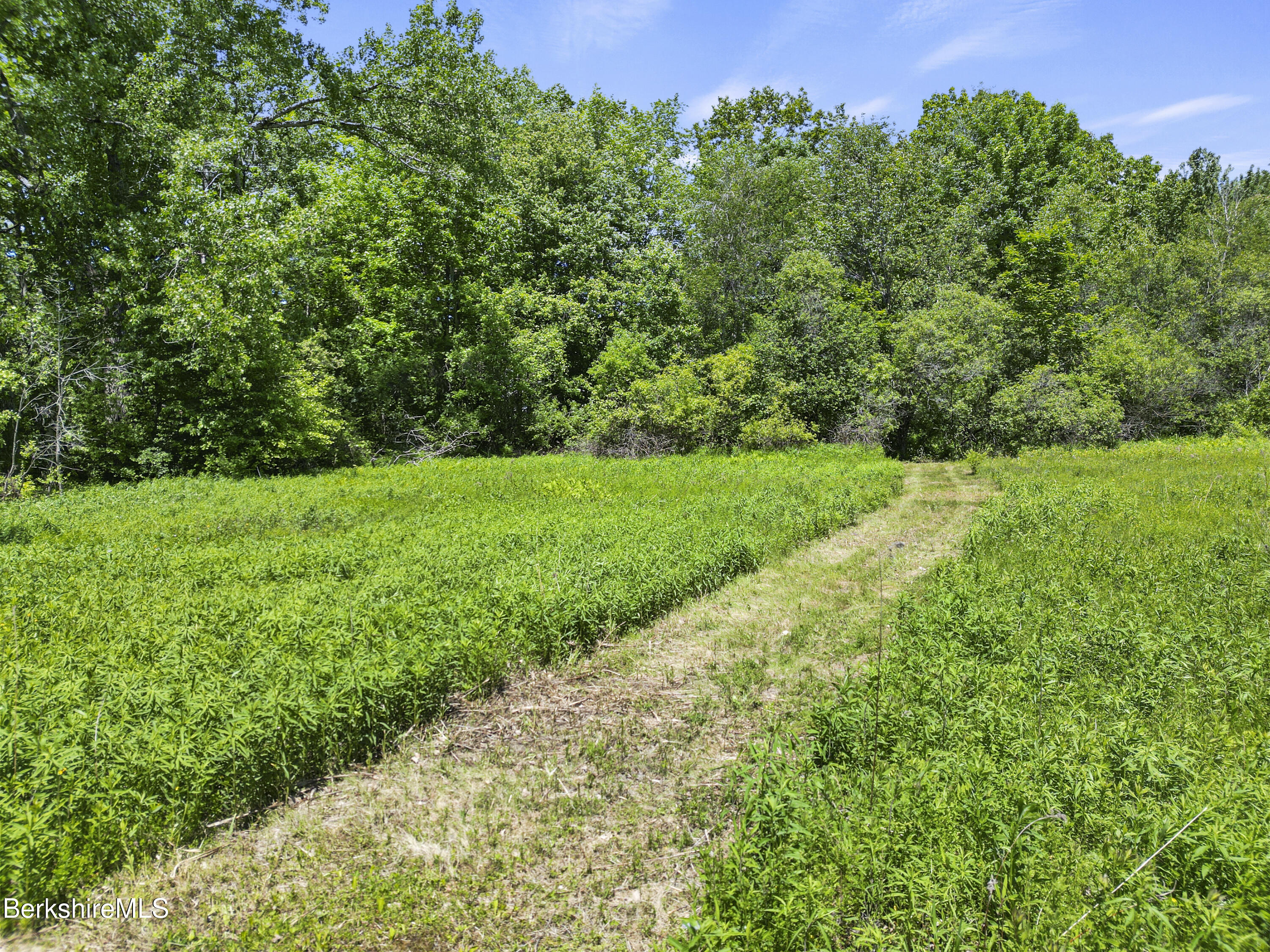 0 Peru Road Hinsdale, MA 01235 - Photo 4 of 10 Aerial View Access Path