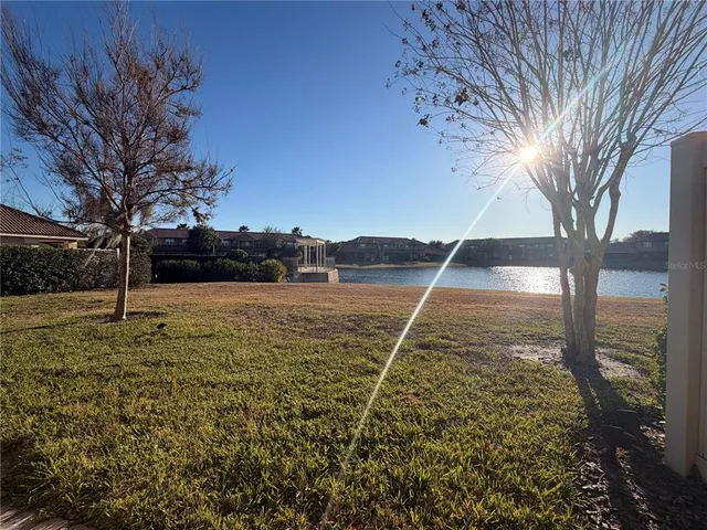 a view of yard with tree