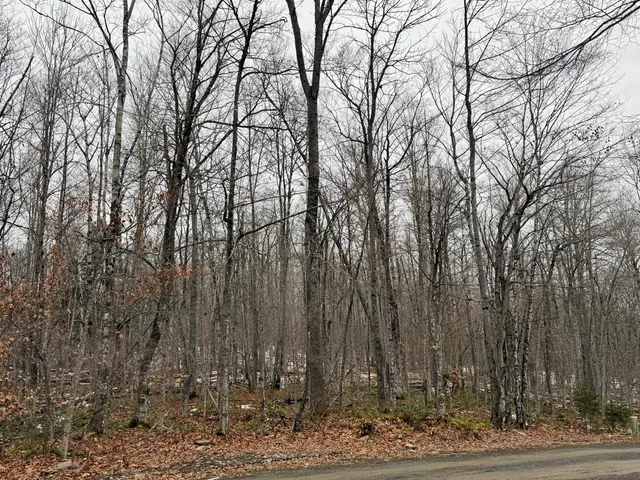 $22,000 | Lot 104 Hornbeam Ridge Road, Dexter, ME 04930