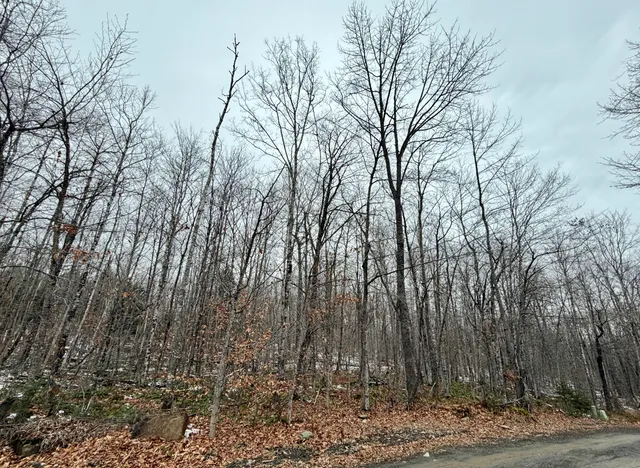 $22,000 | Lot 104 Hornbeam Ridge Road, Dexter, ME 04930