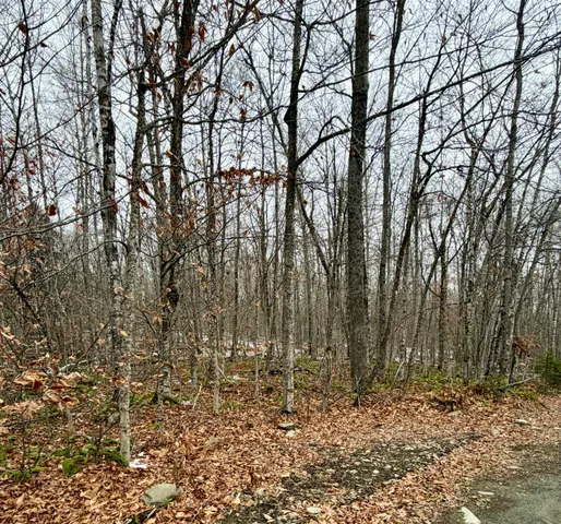 $22,000 | Lot 104 Hornbeam Ridge Road, Dexter, ME 04930
